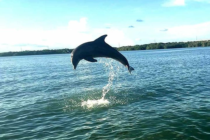 Eco-Tours on the gulf side of Key Largo